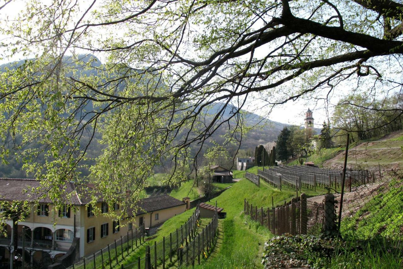 Charming B&B And Osteria La Crisalide Meride Kültér fotó